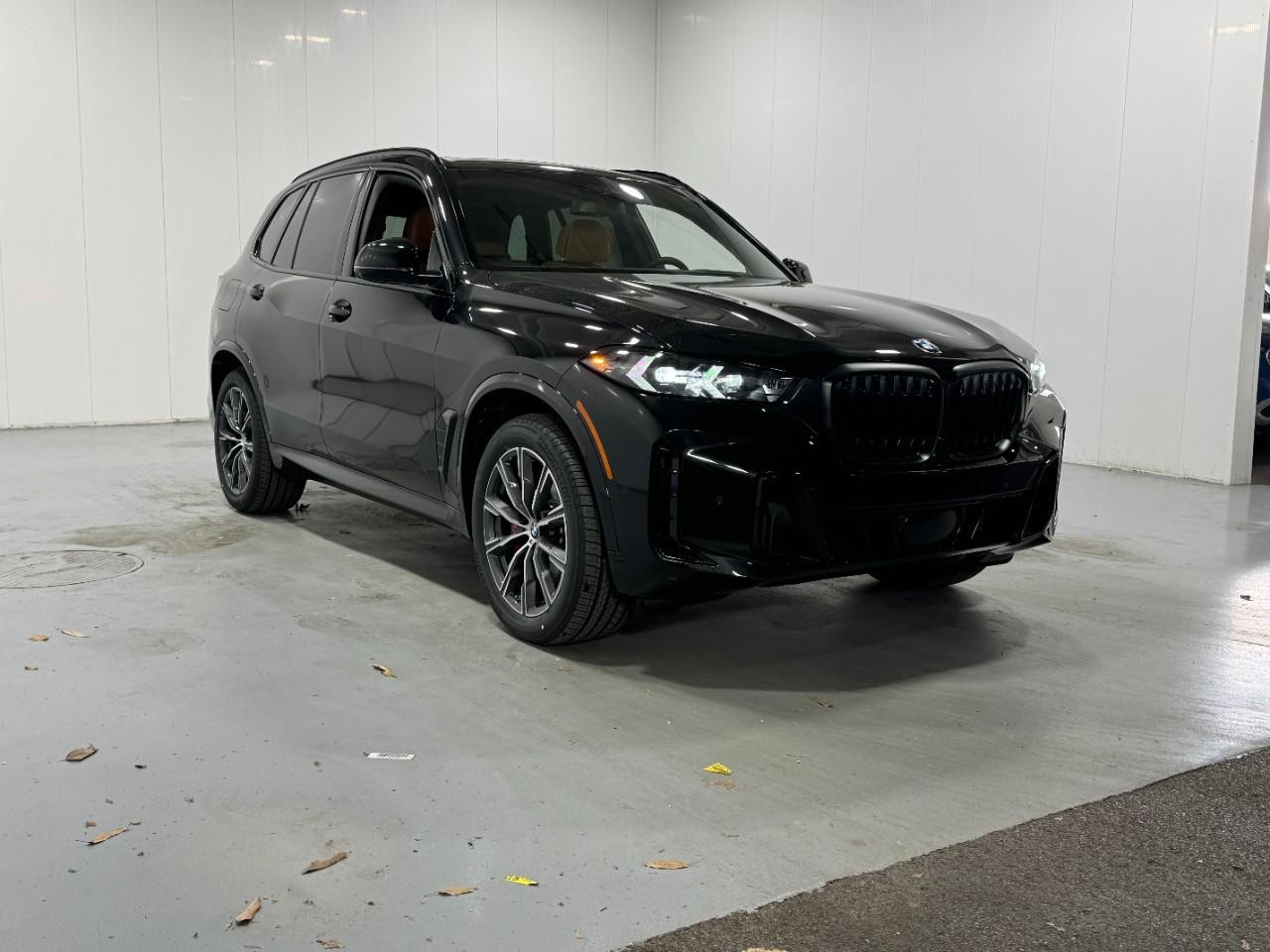 BMW X5 Vehicle Full-screen Gallery Image 6