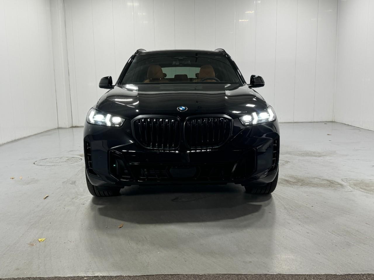 BMW X5 Vehicle Full-screen Gallery Image 7