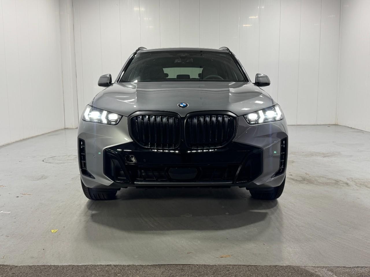 BMW X5 Vehicle Full-screen Gallery Image 7