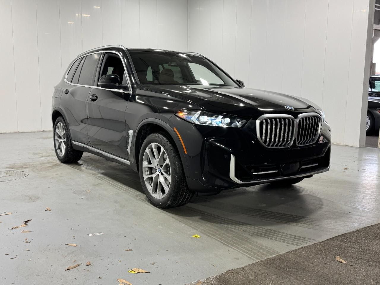 BMW X5 Vehicle Full-screen Gallery Image 6