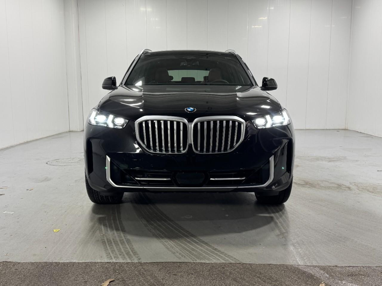BMW X5 Vehicle Full-screen Gallery Image 7