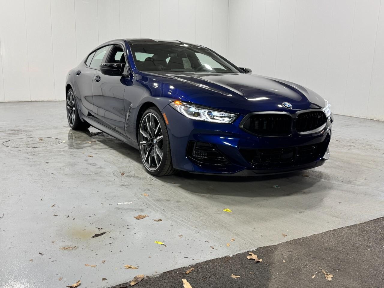 BMW 8 Series Vehicle Full-screen Gallery Image 6