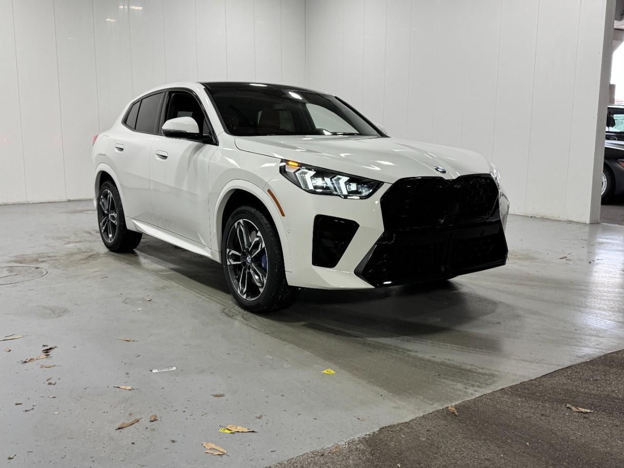 BMW X2 Vehicle Full-screen Gallery Image 6