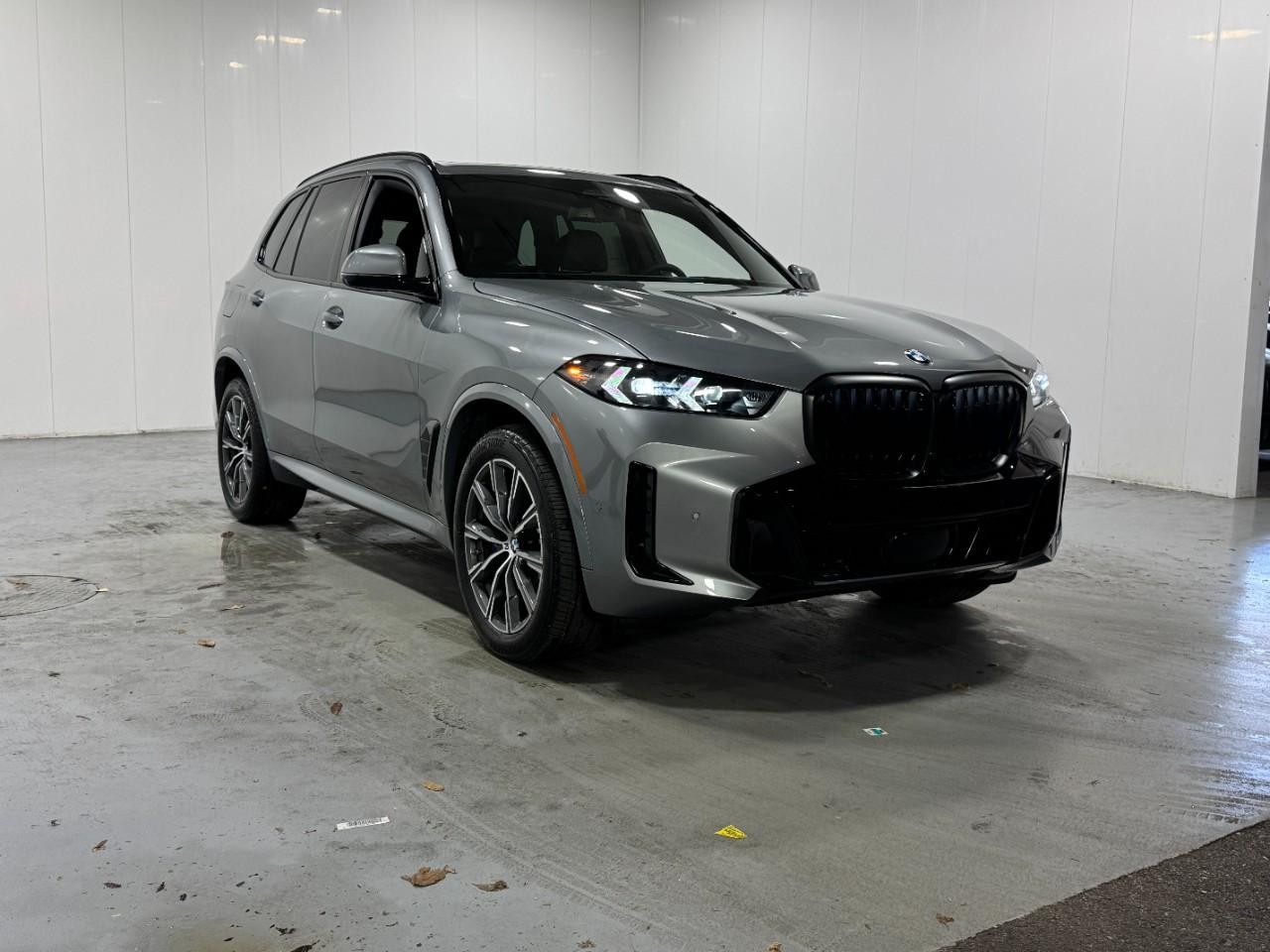 BMW X5 Vehicle Full-screen Gallery Image 6