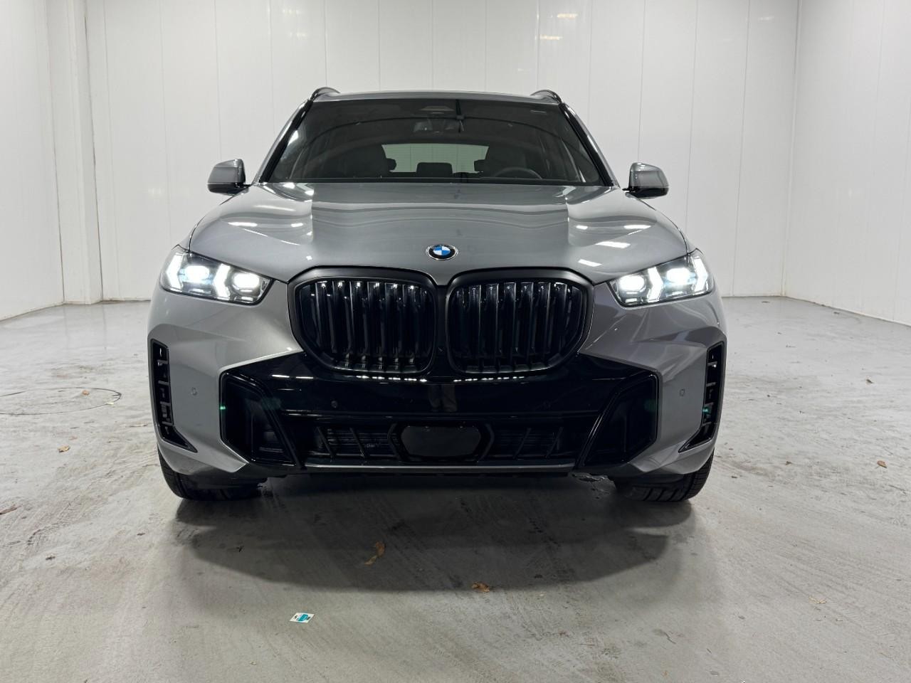 BMW X5 Vehicle Full-screen Gallery Image 7
