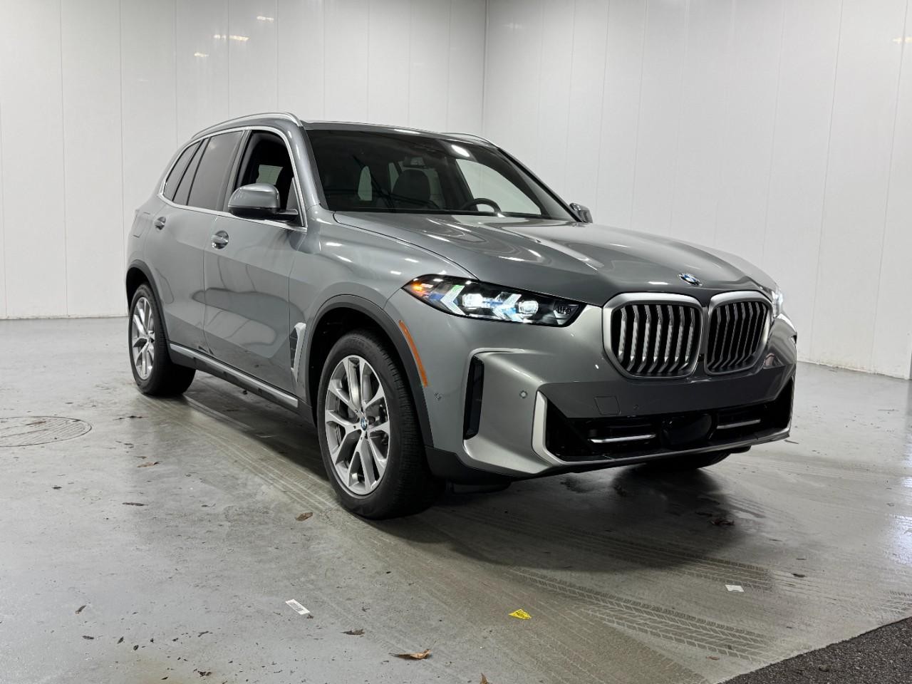 BMW X5 Vehicle Full-screen Gallery Image 6