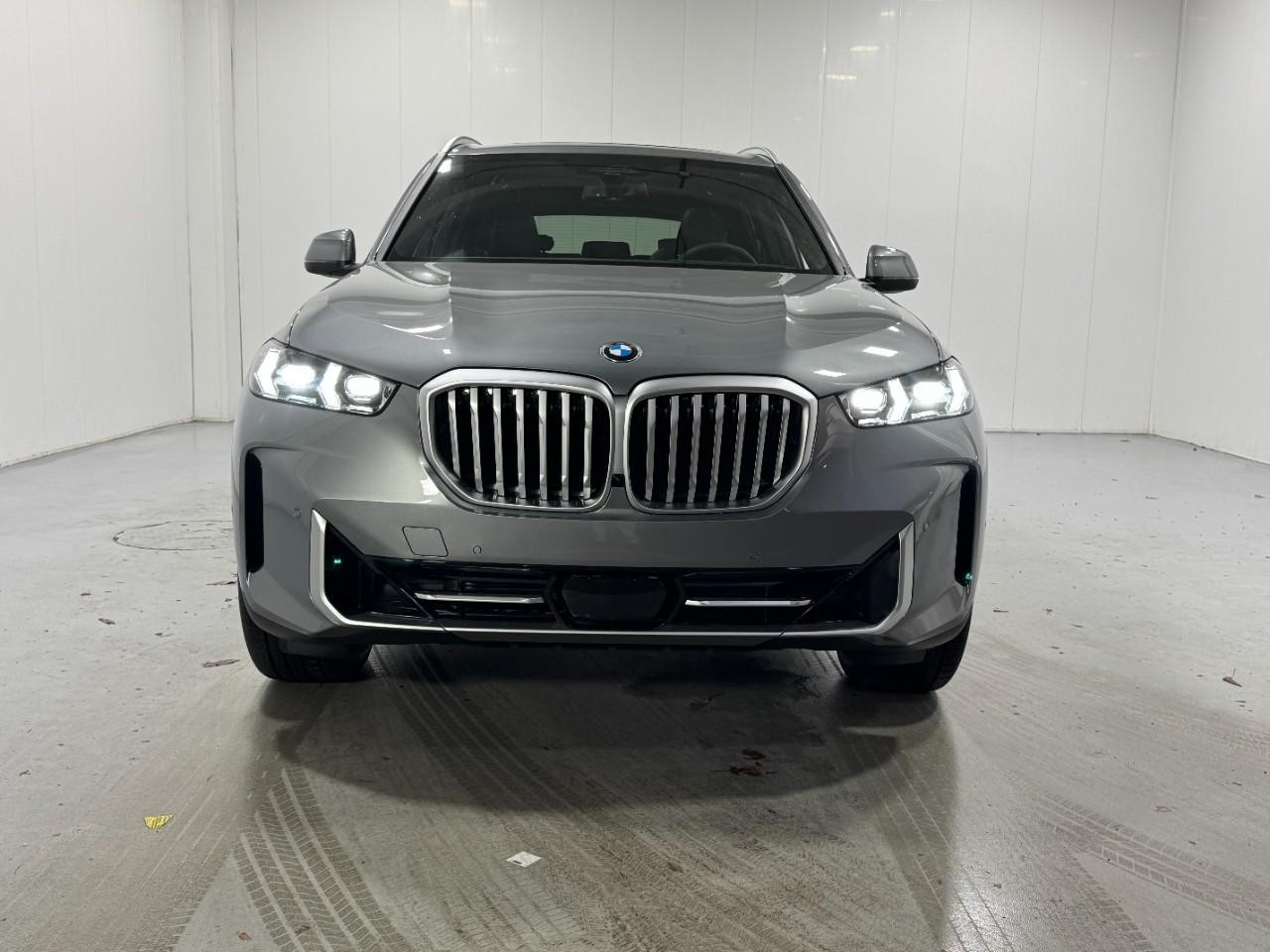 BMW X5 Vehicle Full-screen Gallery Image 7
