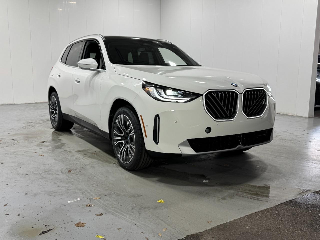 BMW X3 Vehicle Full-screen Gallery Image 6