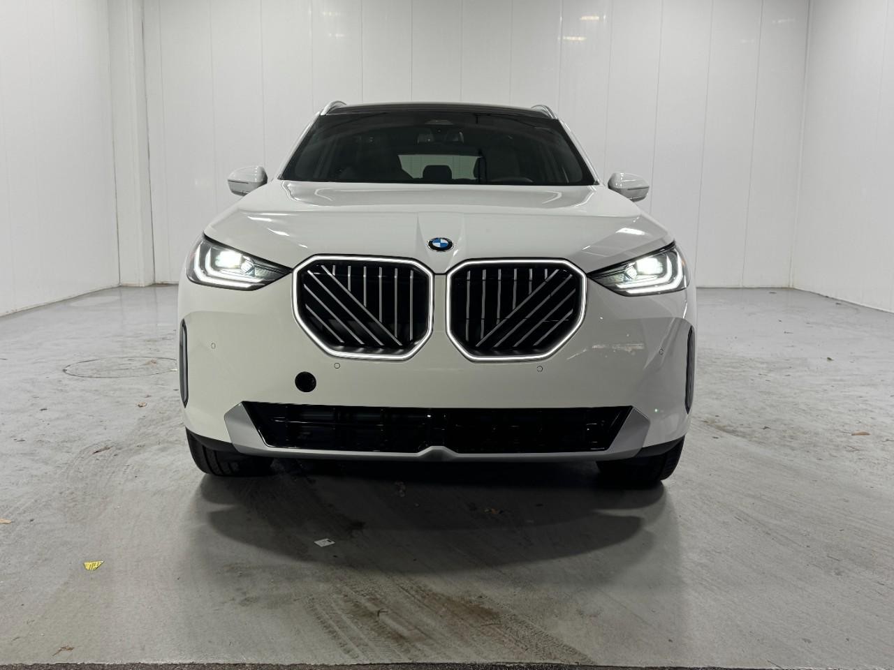 BMW X3 Vehicle Full-screen Gallery Image 7