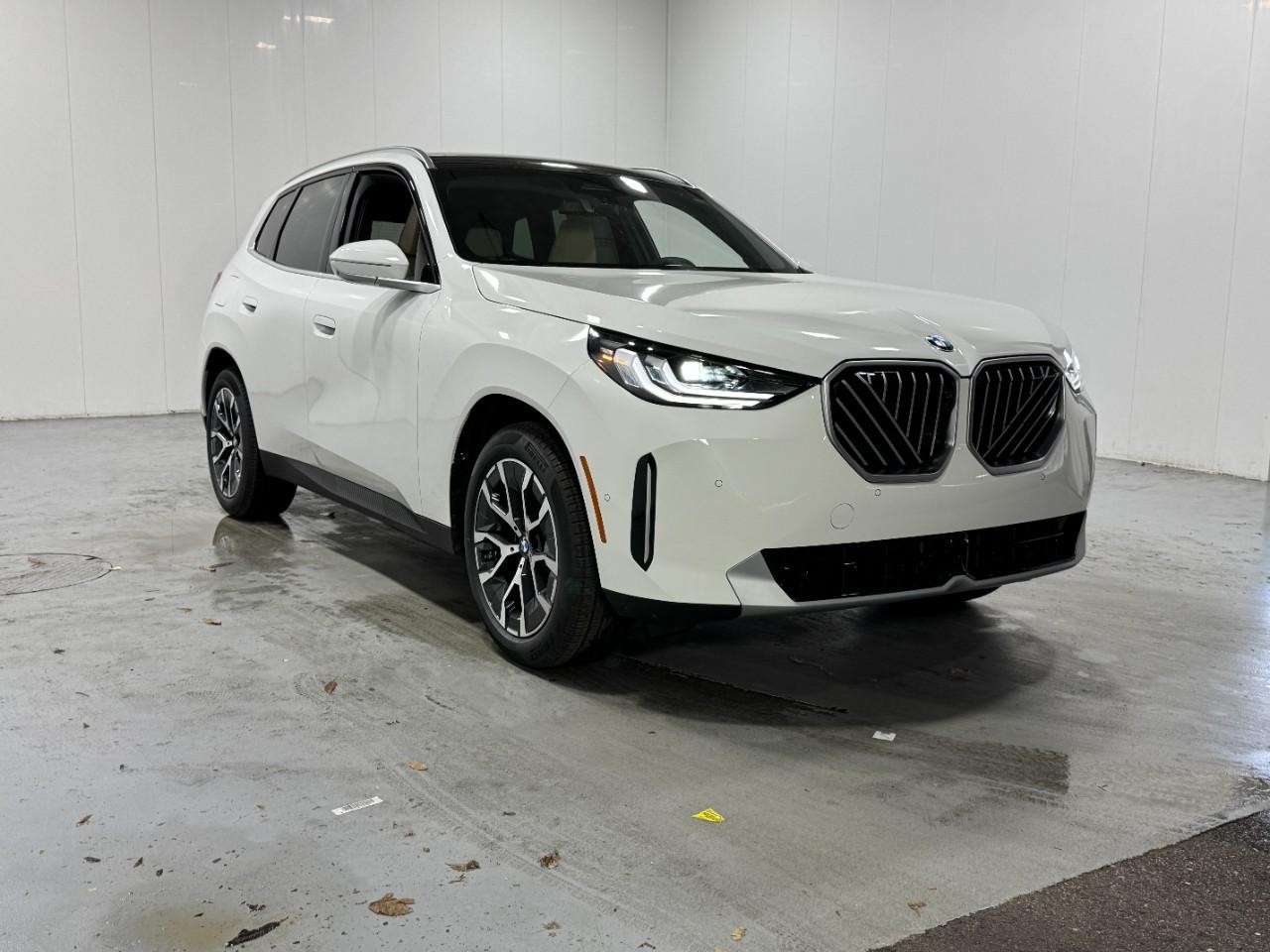 BMW X3 Vehicle Full-screen Gallery Image 6