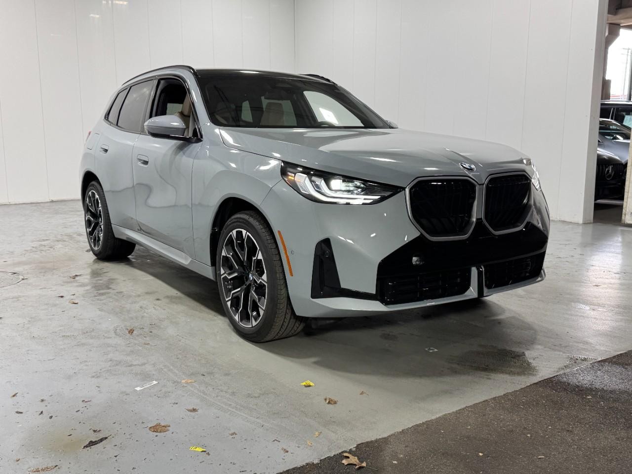 BMW X3 Vehicle Full-screen Gallery Image 6