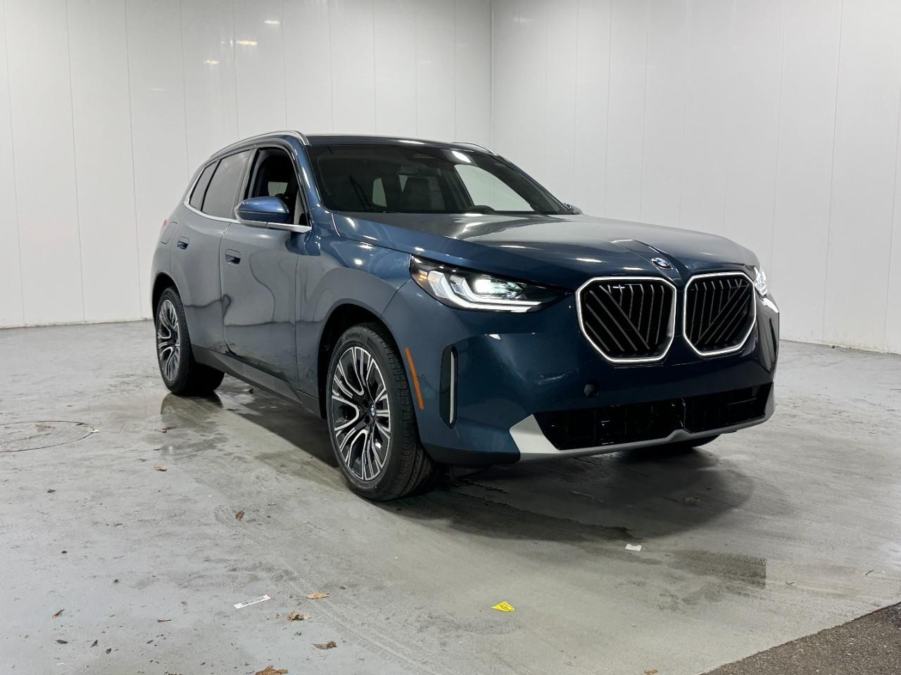 BMW X3 Vehicle Full-screen Gallery Image 6