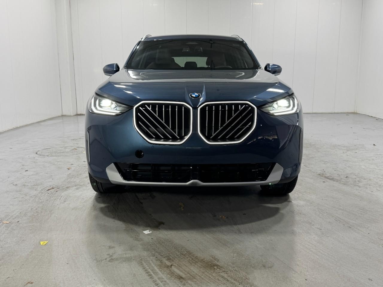 BMW X3 Vehicle Full-screen Gallery Image 7