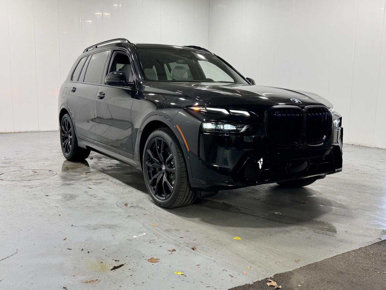 BMW X7 Vehicle Full-screen Gallery Image 6