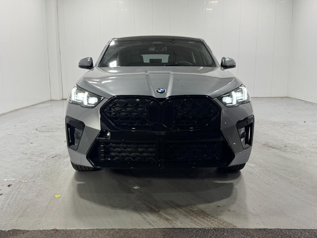 BMW X2 Vehicle Full-screen Gallery Image 7