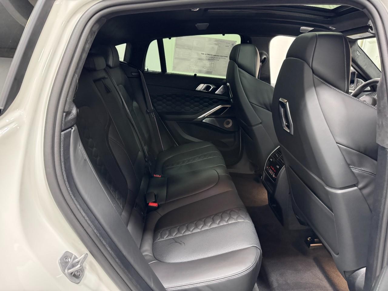 BMW X6 M Vehicle Full-screen Gallery Image 10