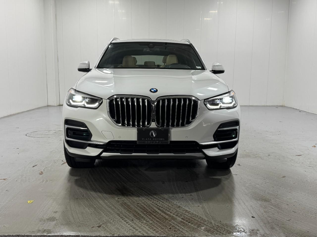 BMW X5 Vehicle Full-screen Gallery Image 7