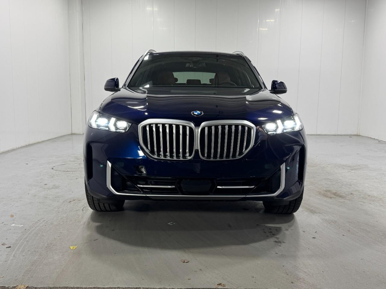 BMW X5 Vehicle Full-screen Gallery Image 7