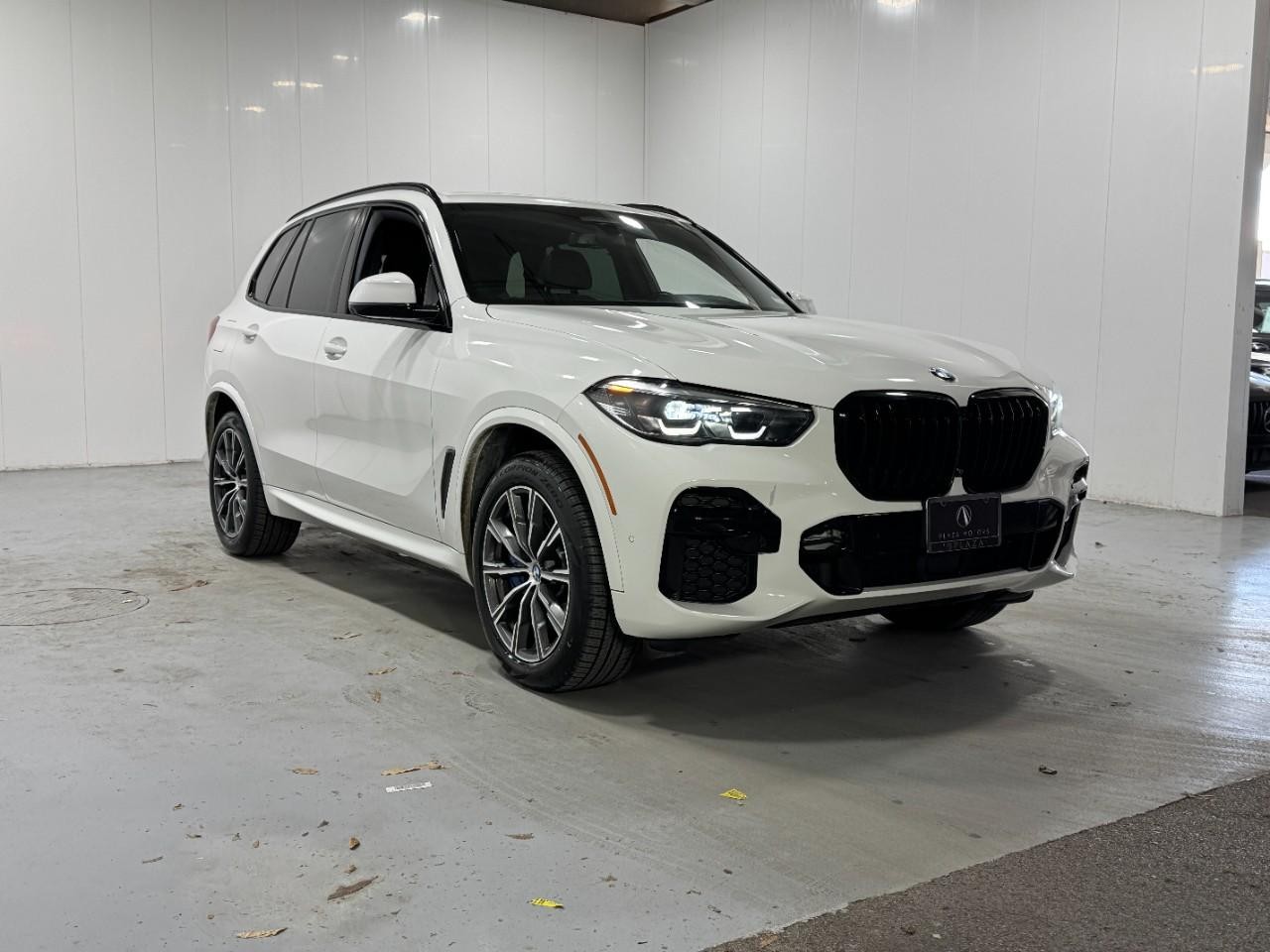BMW X5 Vehicle Full-screen Gallery Image 5