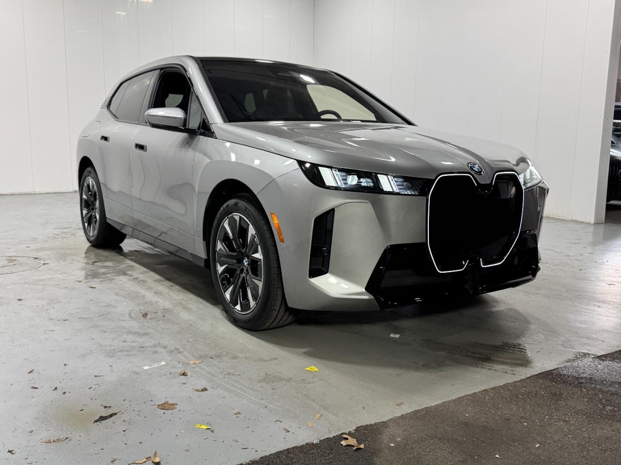 BMW iX Vehicle Full-screen Gallery Image 6