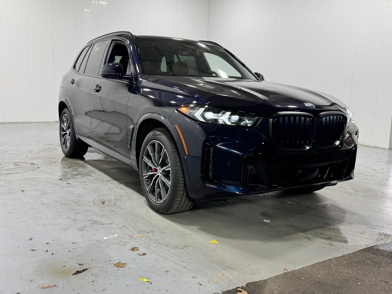 BMW X5 Vehicle Full-screen Gallery Image 6