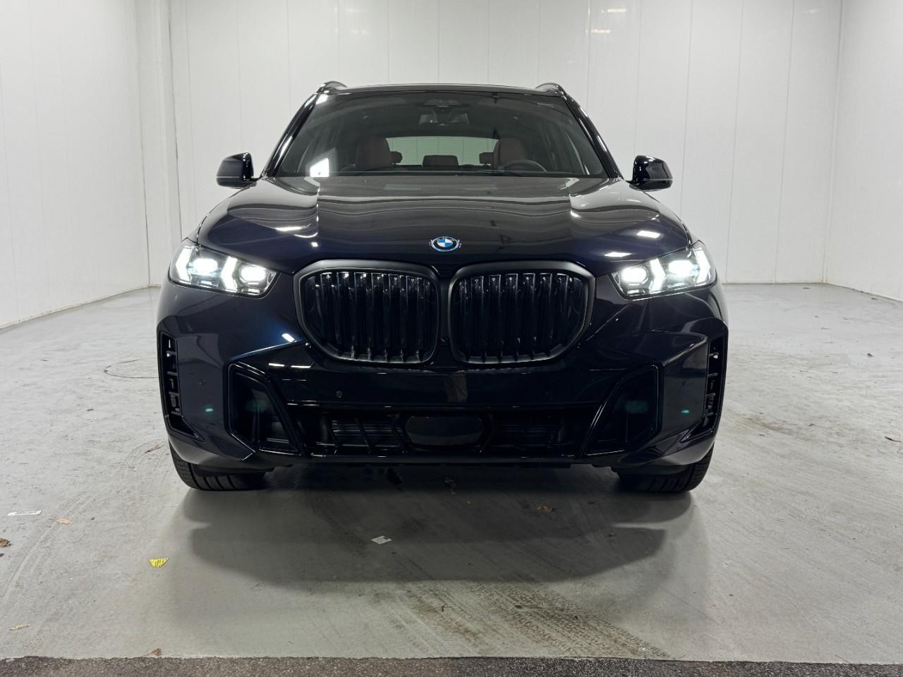 BMW X5 Vehicle Full-screen Gallery Image 7