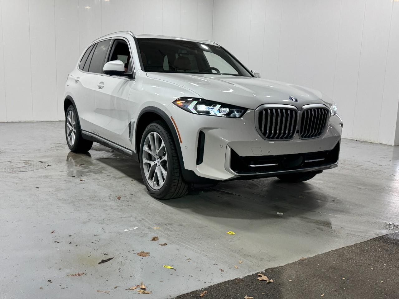 BMW X5 Vehicle Full-screen Gallery Image 6