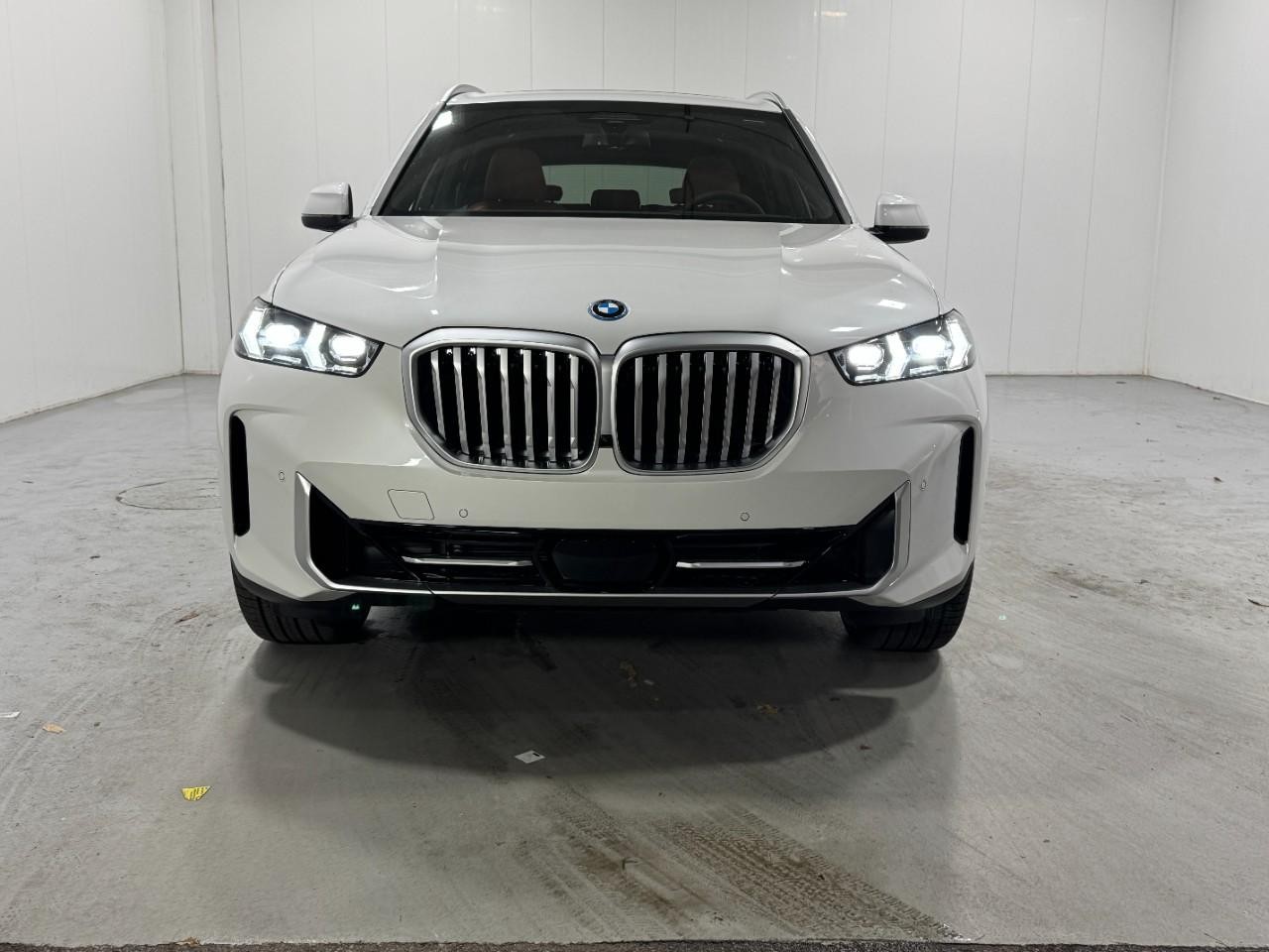 BMW X5 Vehicle Full-screen Gallery Image 7