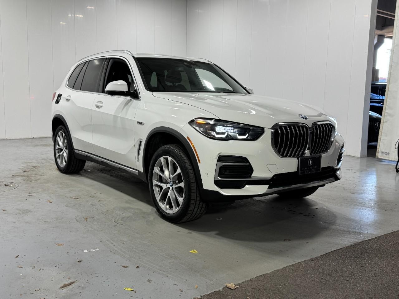 BMW X5 Vehicle Full-screen Gallery Image 6