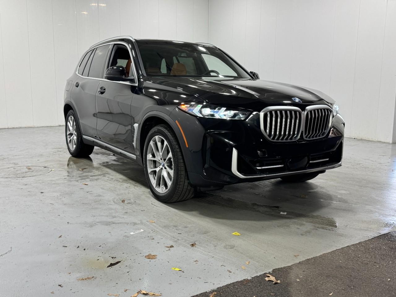 BMW X5 Vehicle Full-screen Gallery Image 6