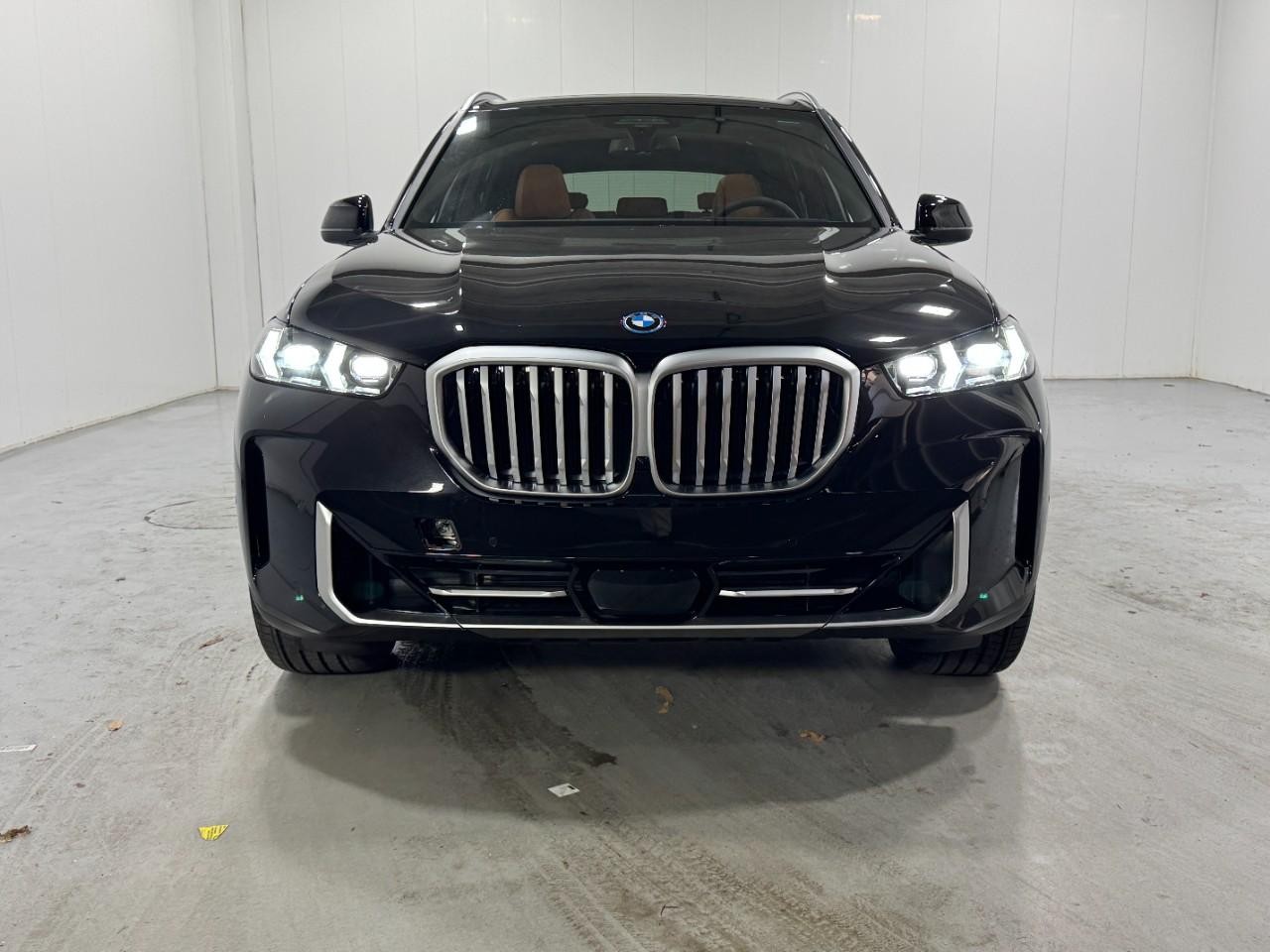 BMW X5 Vehicle Full-screen Gallery Image 7