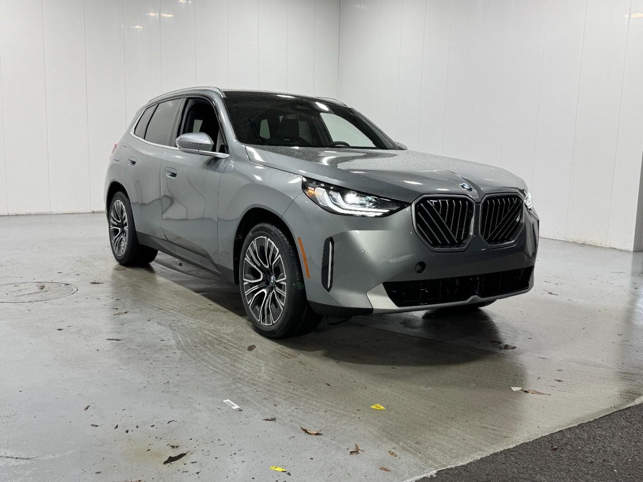 BMW X3 Vehicle Full-screen Gallery Image 6