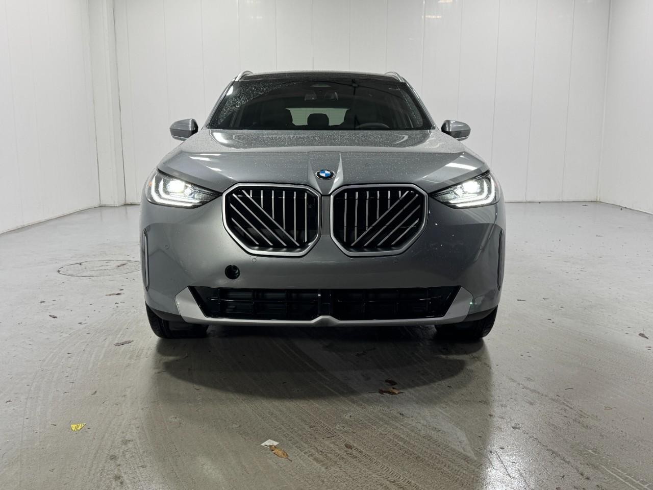 BMW X3 Vehicle Full-screen Gallery Image 7