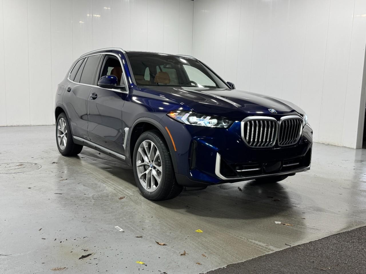 BMW X5 Vehicle Full-screen Gallery Image 6