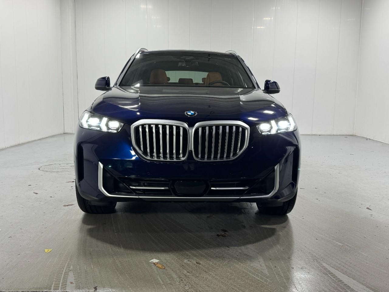 BMW X5 Vehicle Full-screen Gallery Image 7