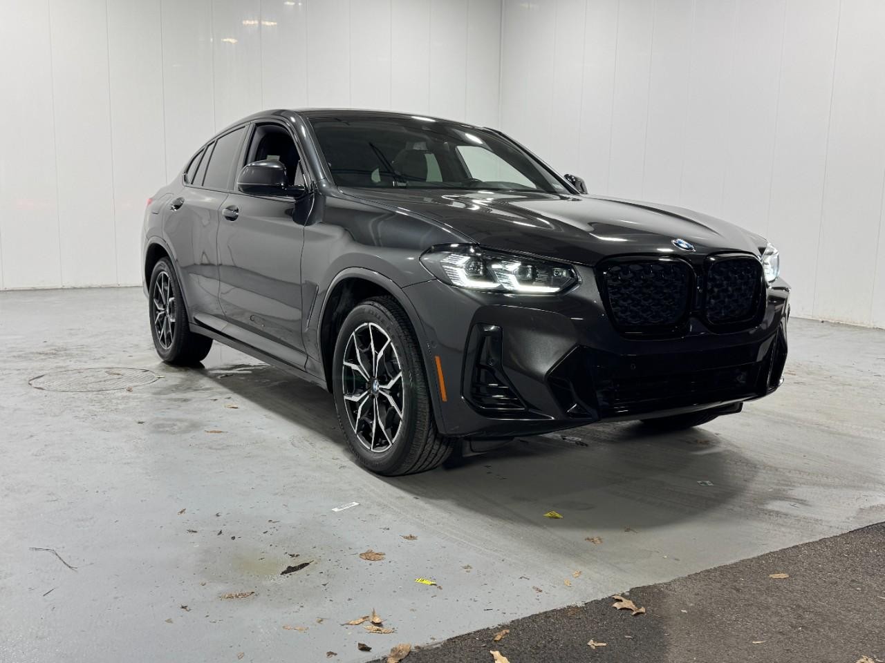 BMW X4 Vehicle Full-screen Gallery Image 6