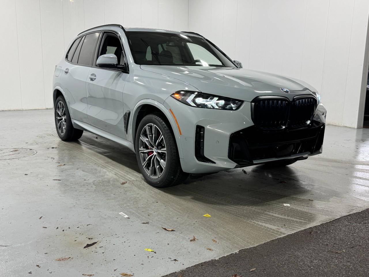 BMW X5 Vehicle Full-screen Gallery Image 6