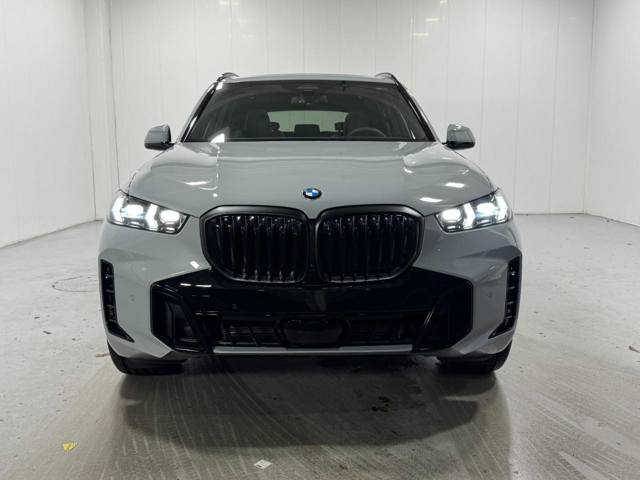 BMW X5 Vehicle Full-screen Gallery Image 7