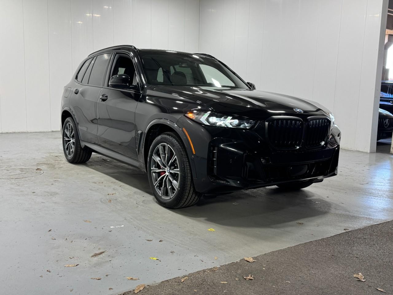 BMW X5 Vehicle Full-screen Gallery Image 6