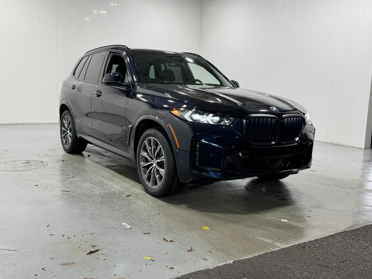 BMW X5 Vehicle Full-screen Gallery Image 6