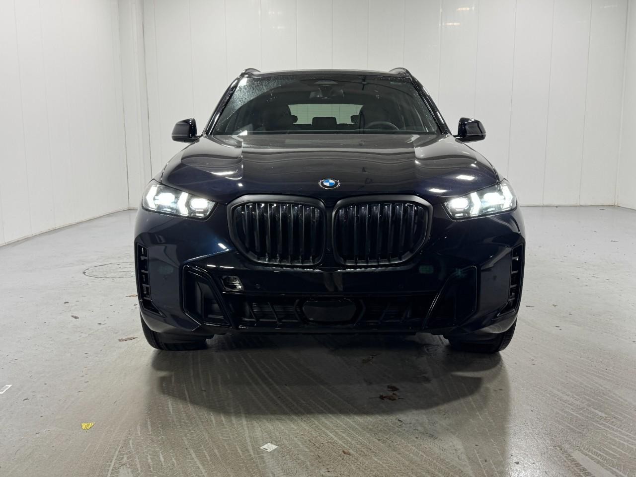 BMW X5 Vehicle Full-screen Gallery Image 7