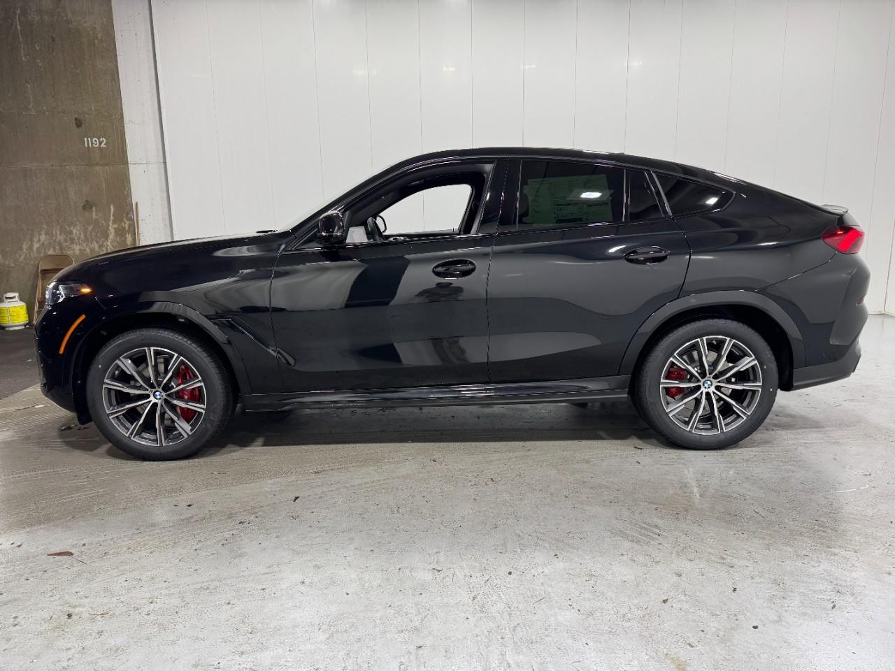 BMW X6 Vehicle Full-screen Gallery Image 2