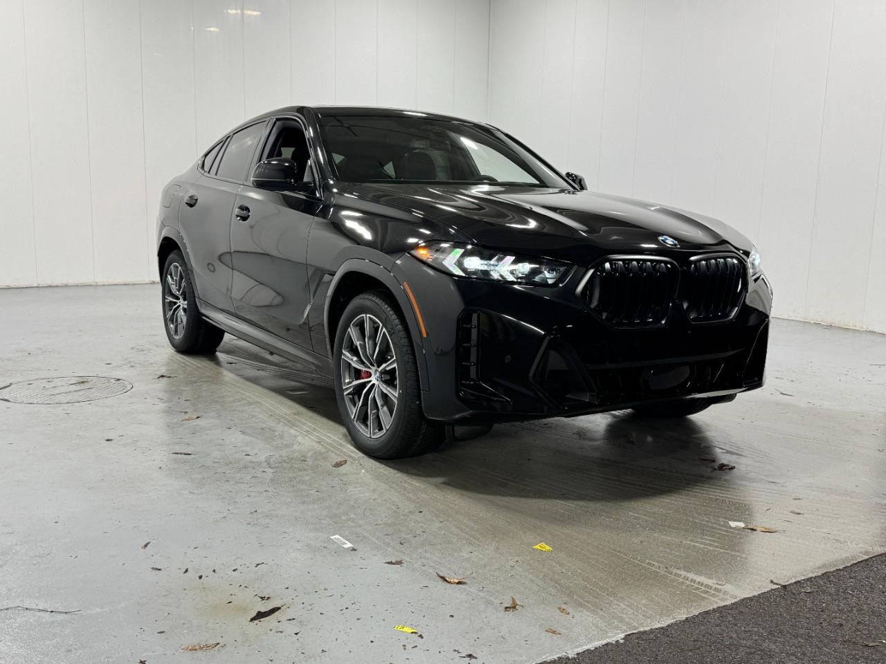 BMW X6 Vehicle Full-screen Gallery Image 6