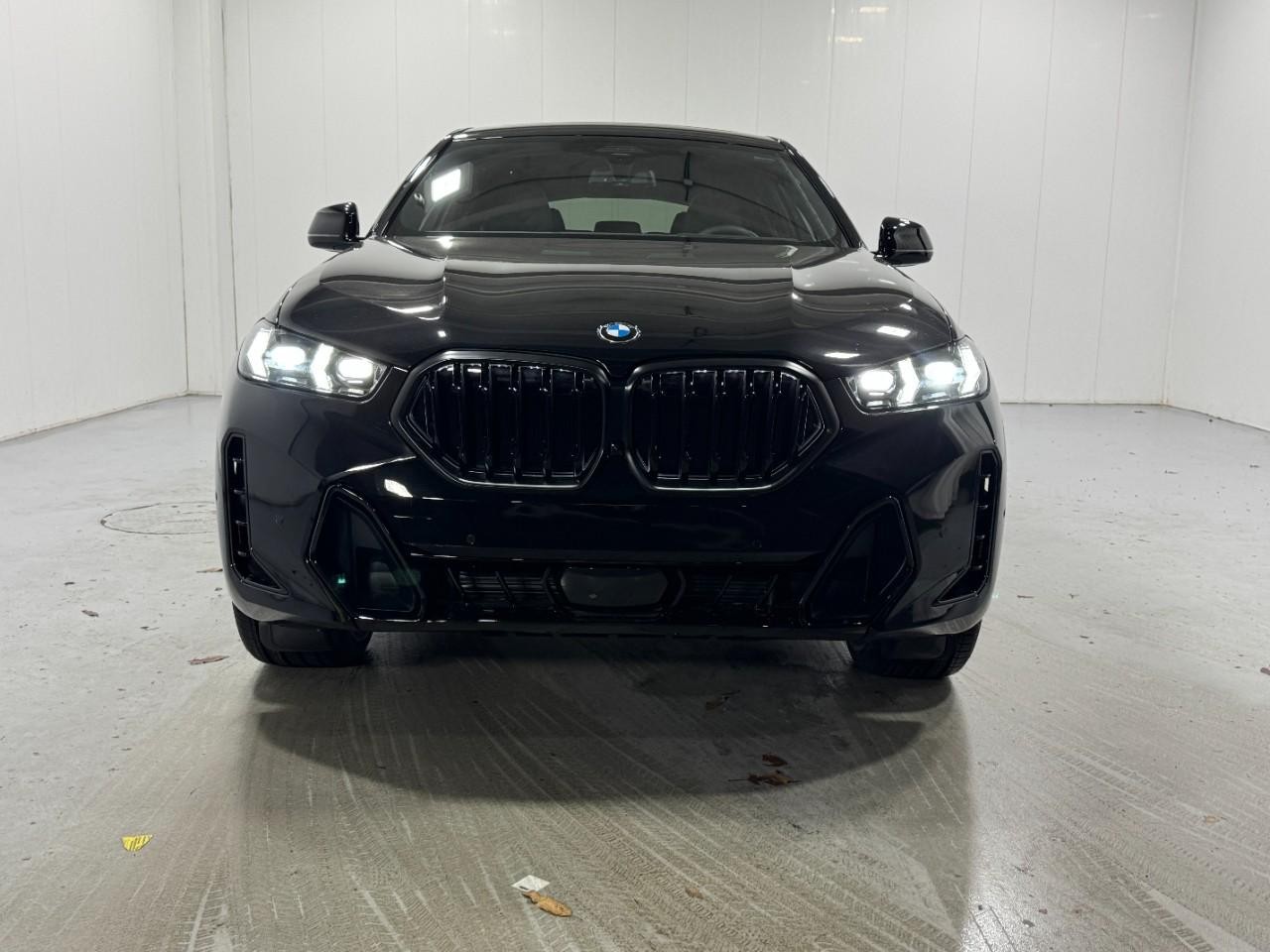 BMW X6 Vehicle Full-screen Gallery Image 7