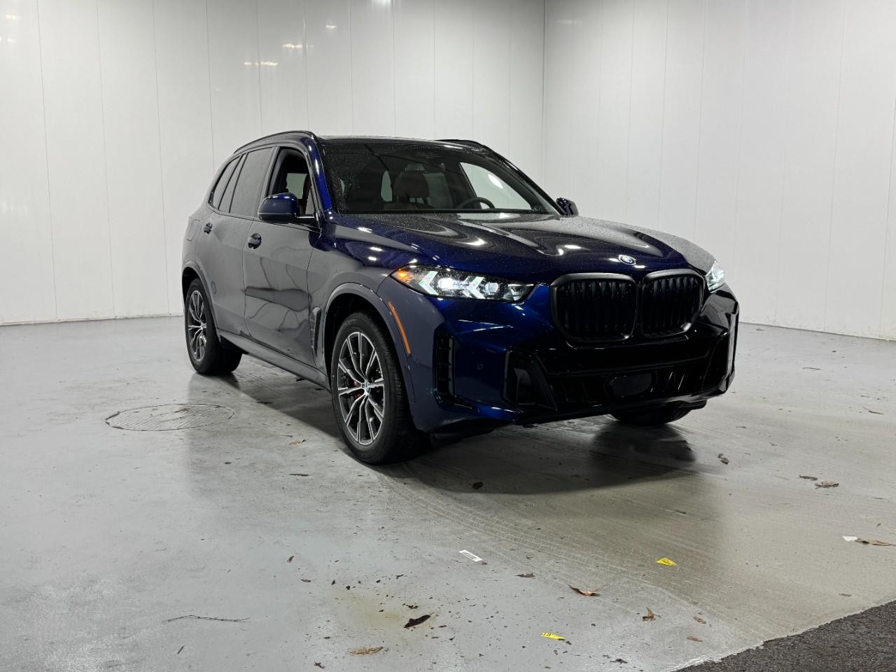 BMW X5 Vehicle Full-screen Gallery Image 6