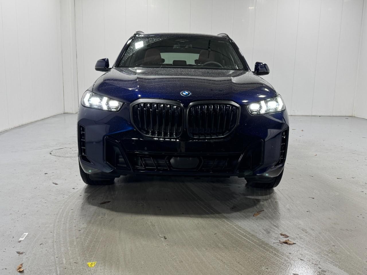 BMW X5 Vehicle Full-screen Gallery Image 7