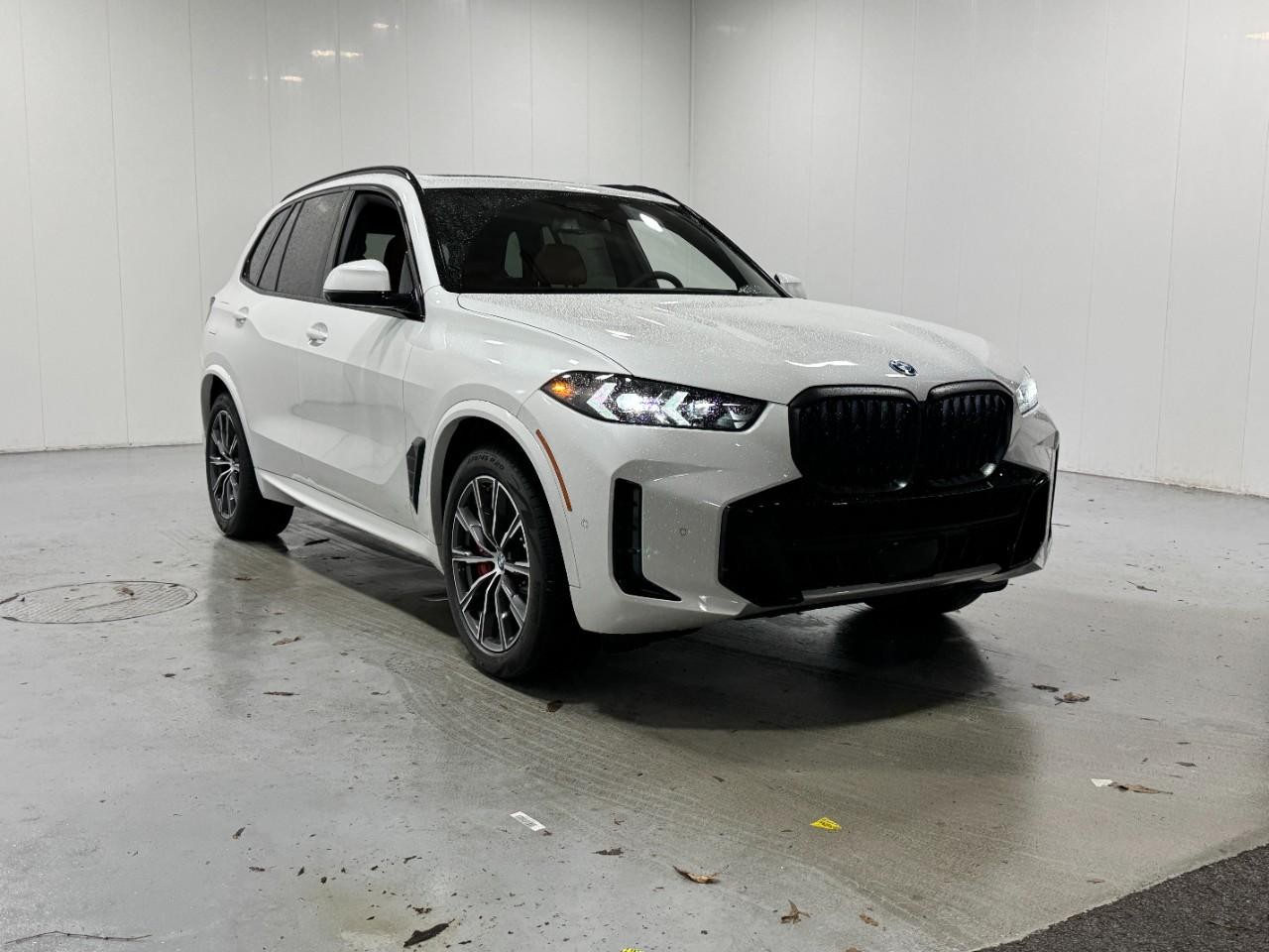 BMW X5 Vehicle Full-screen Gallery Image 6
