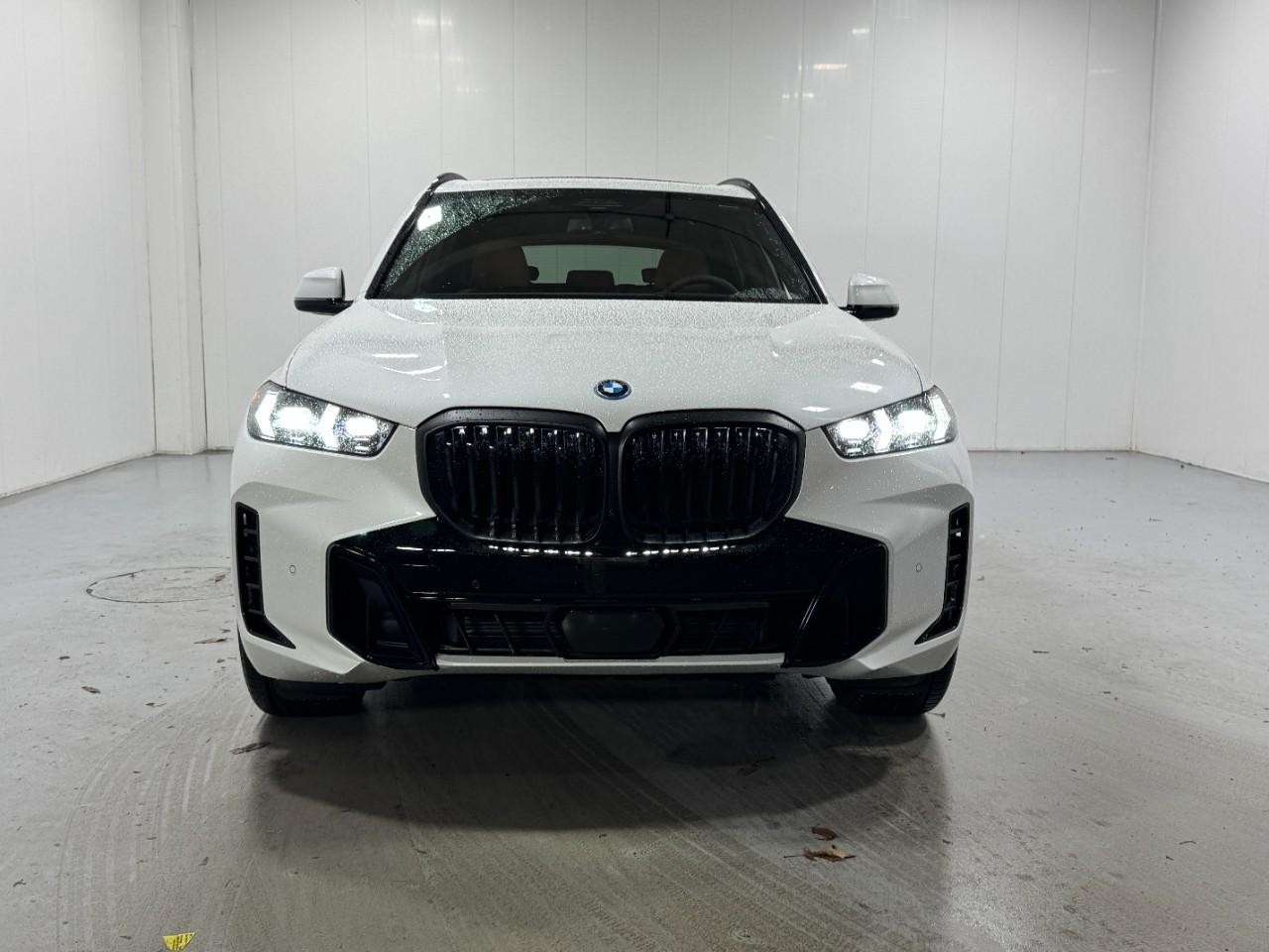 BMW X5 Vehicle Full-screen Gallery Image 7