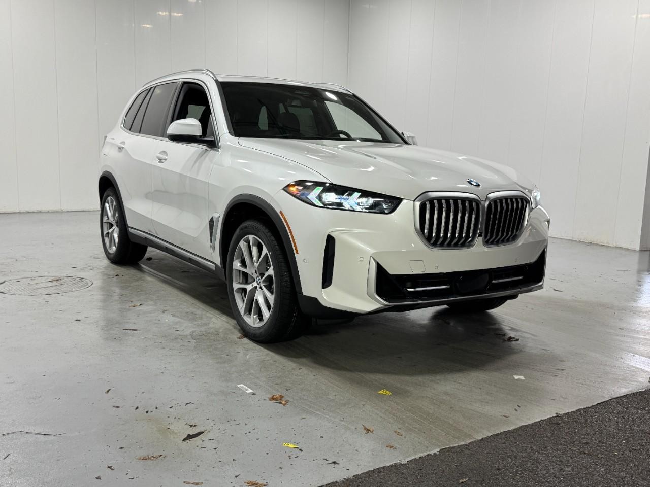 BMW X5 Vehicle Full-screen Gallery Image 6
