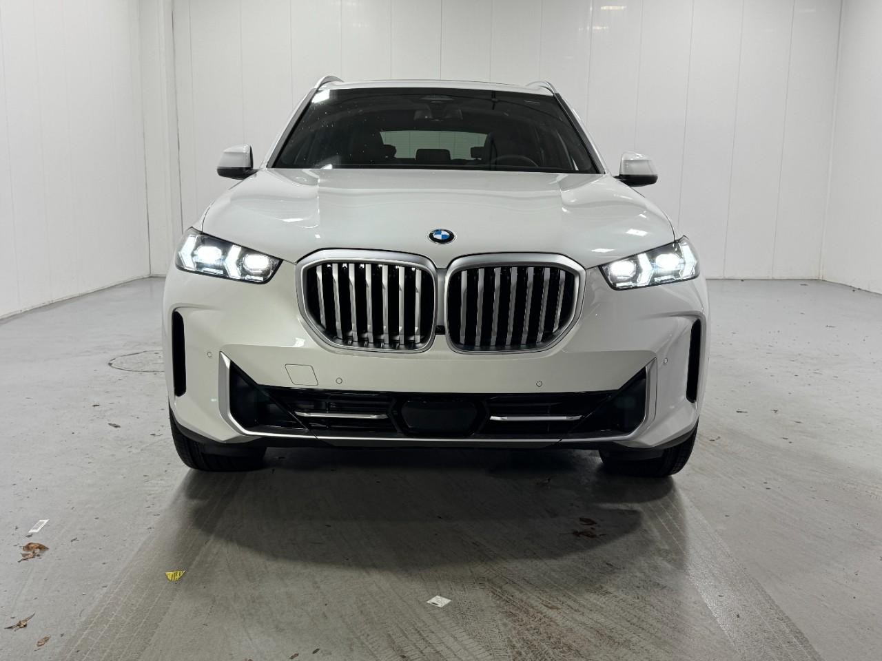 BMW X5 Vehicle Full-screen Gallery Image 7
